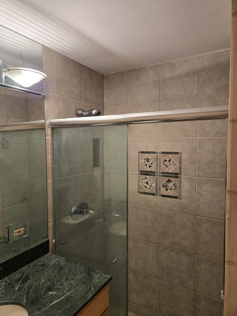 40 E Cedar Street #21C, Chicago, IL 60611