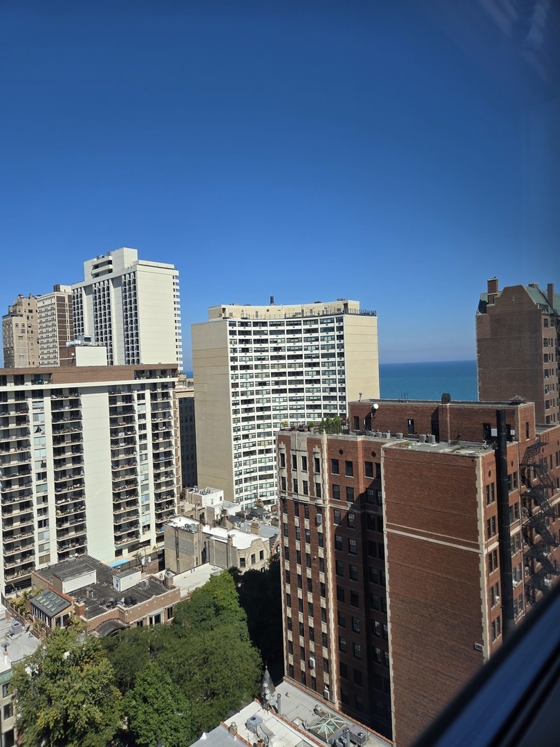 40 E Cedar Street #21C, Chicago, IL 60611