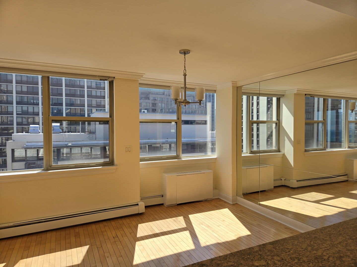 40 E Cedar Street #21C, Chicago, IL 60611
