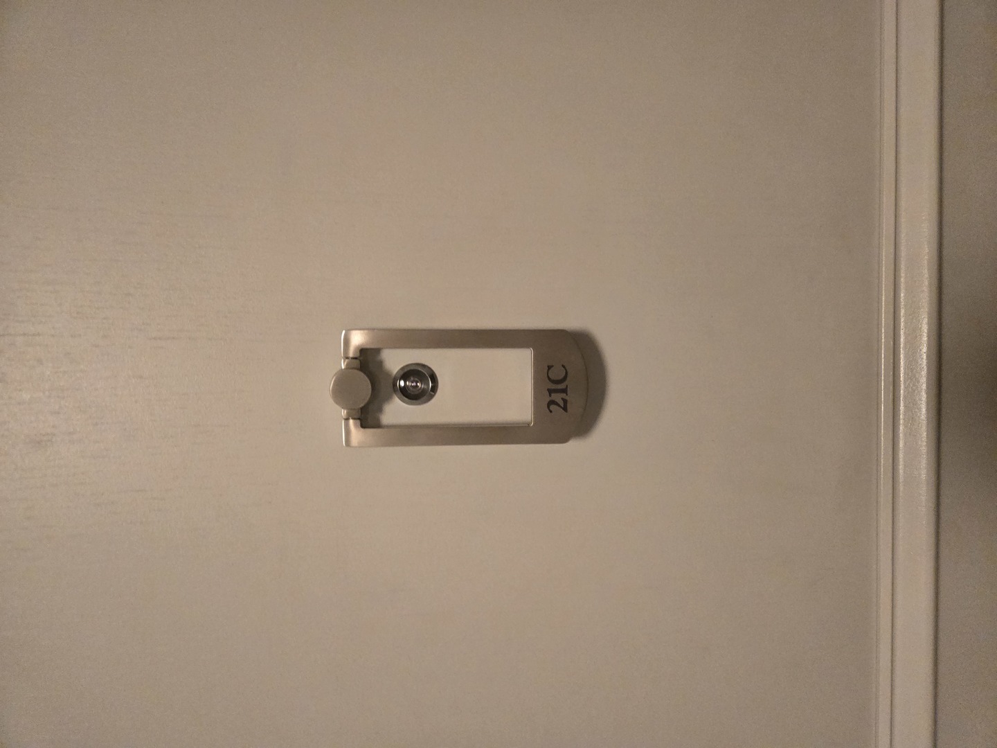 40 E Cedar Street #21C, Chicago, IL 60611