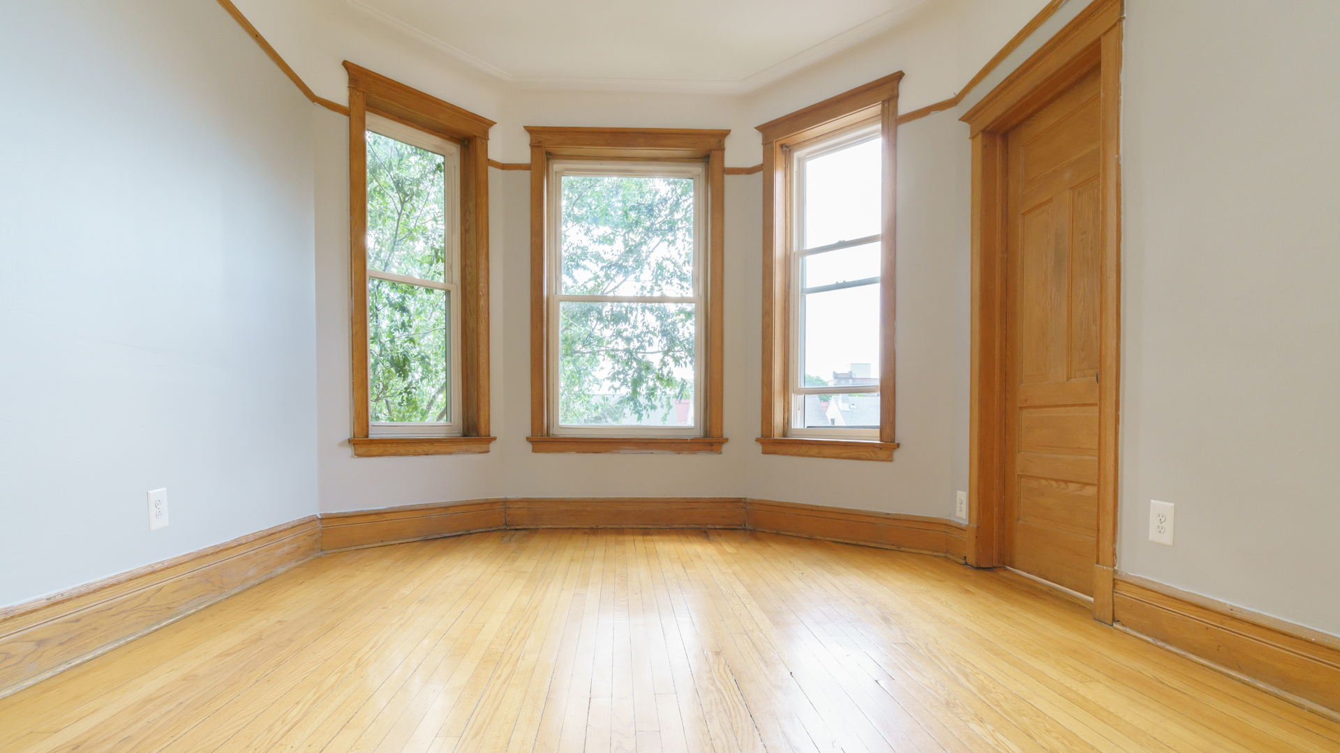 3817 N Wilton Avenue #3, Chicago, IL 60613