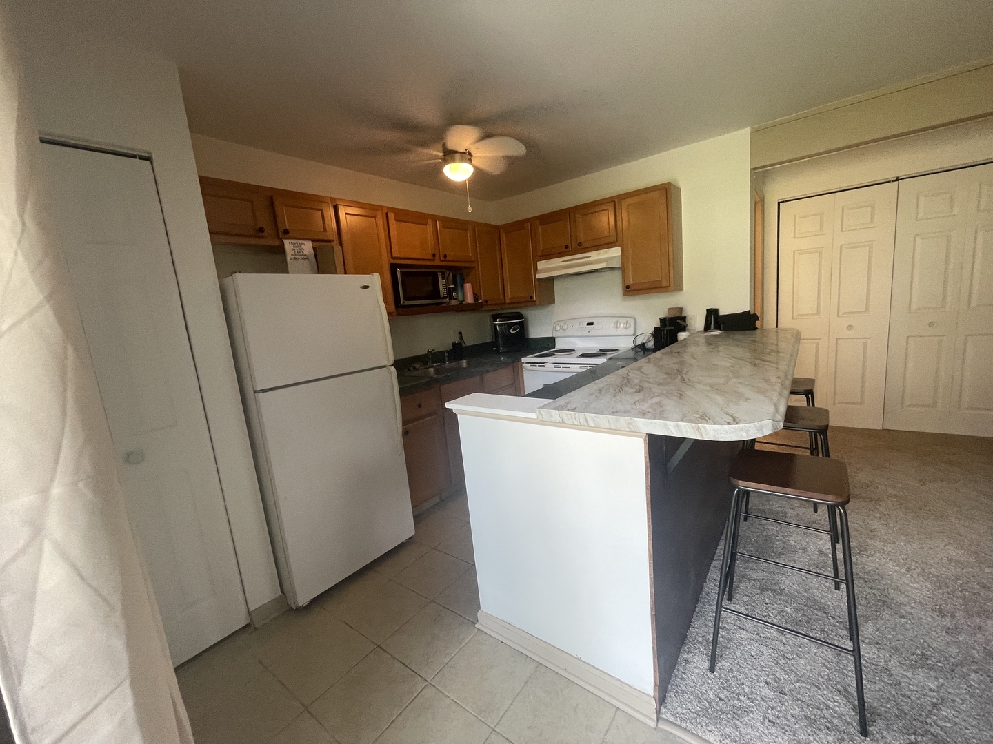 45 Nassau Colony #4, Fox Lake, IL 60020