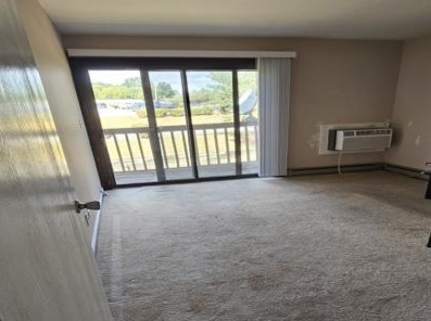 54 Vail Colony #9, Fox Lake, IL 60020