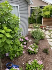 2404 Treeline Drive, Bloomington, IL 61704