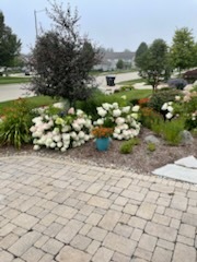 2404 Treeline Drive, Bloomington, IL 61704