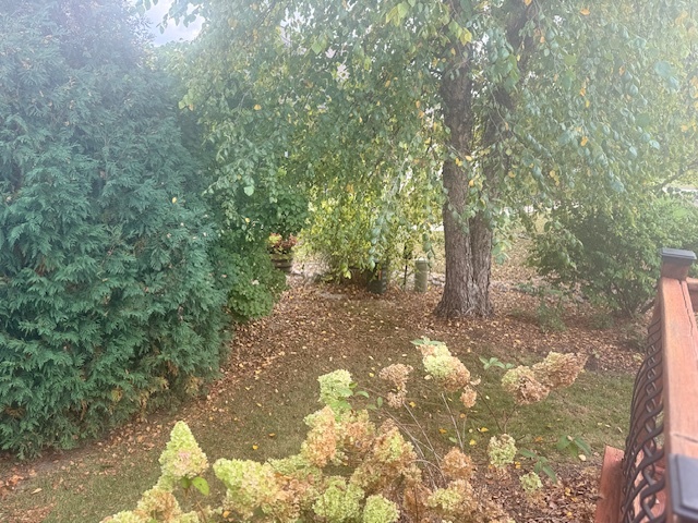 2404 Treeline Drive, Bloomington, IL 61704