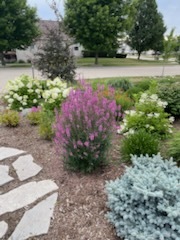 2404 Treeline Drive, Bloomington, IL 61704