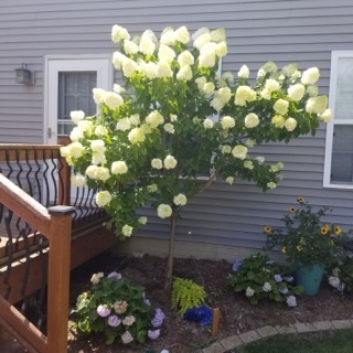 2404 Treeline Drive, Bloomington, IL 61704