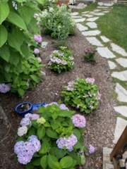 2404 Treeline Drive, Bloomington, IL 61704