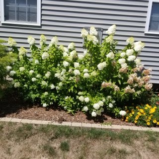 2404 Treeline Drive, Bloomington, IL 61704