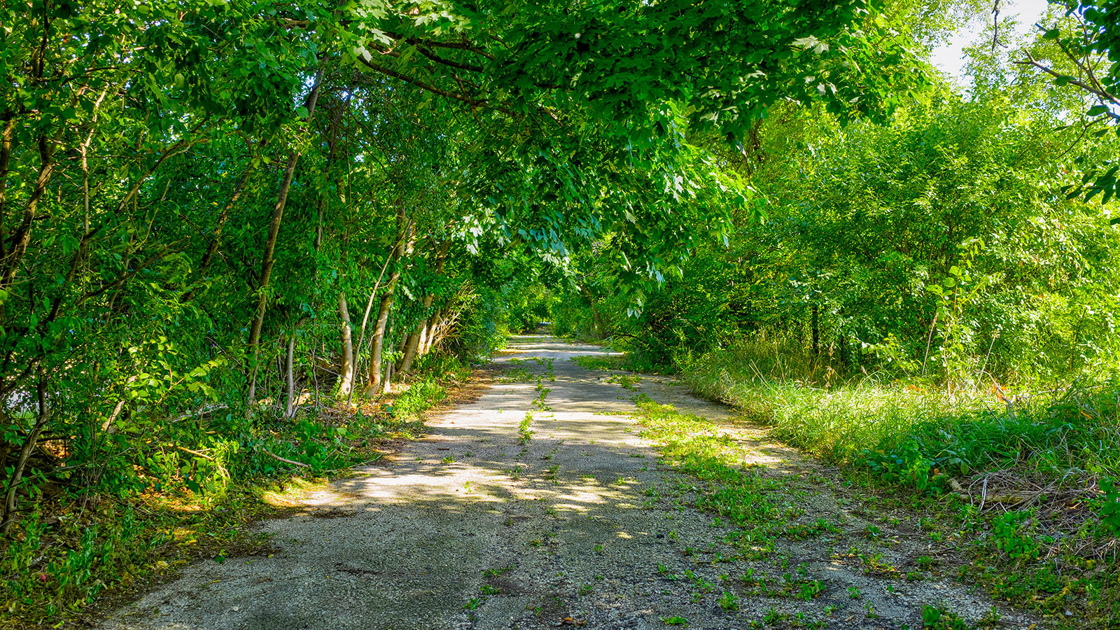 3270 Cashmore Road, Waukegan, IL 60087