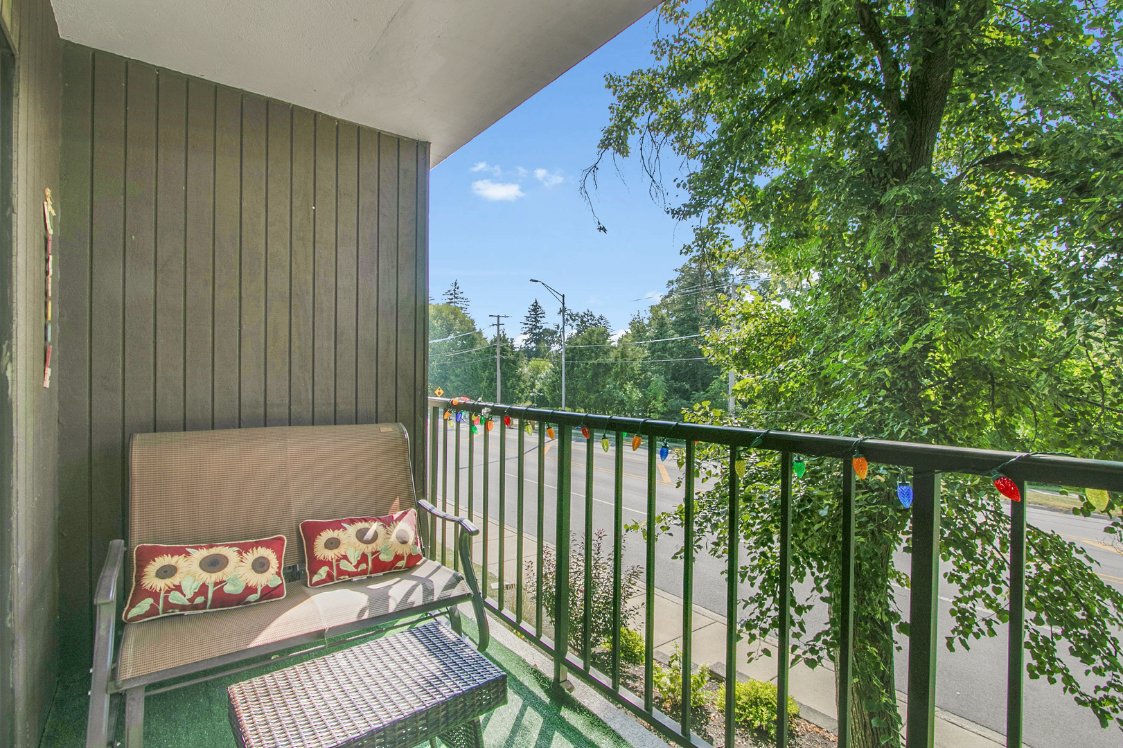 907 S Williams Street #206, Westmont, IL 60559