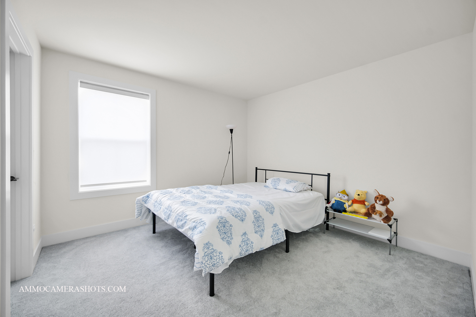 3545 S Riding Ridge, Elgin, IL 60124