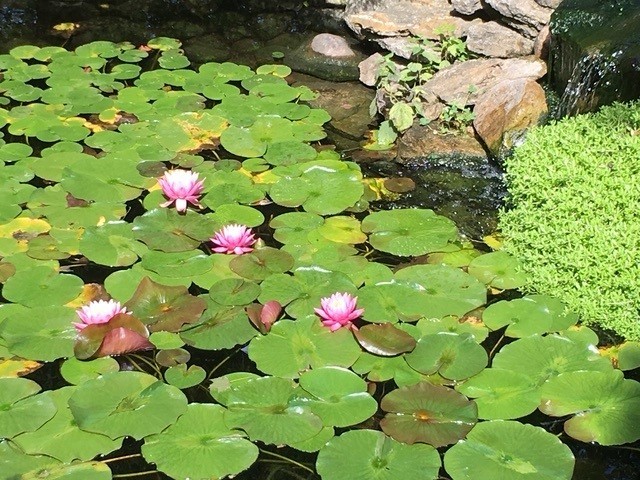 9000 Deerwood Court, Palos Hills, IL 60465