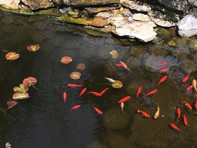 9000 Deerwood Court, Palos Hills, IL 60465