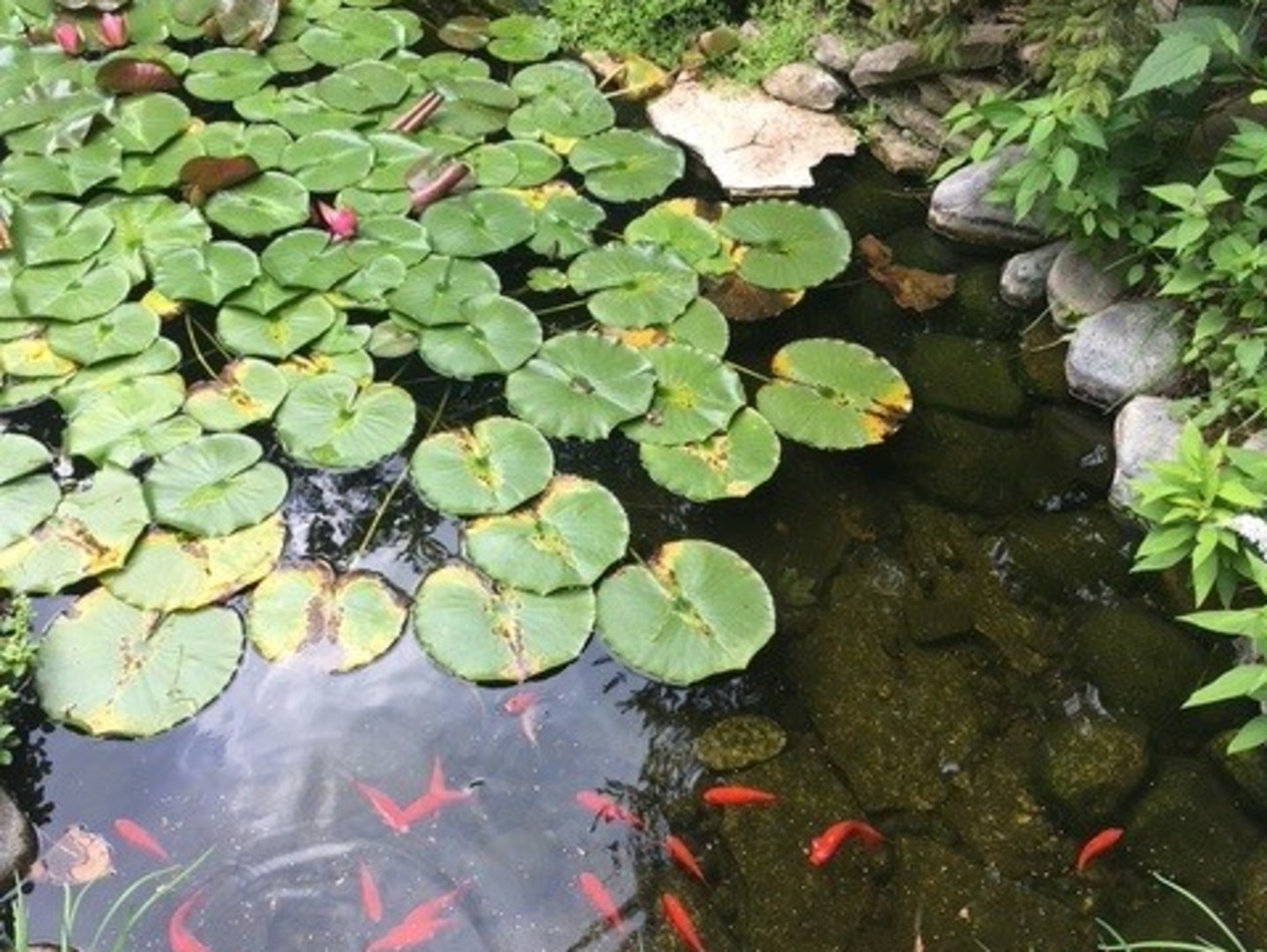 9000 Deerwood Court, Palos Hills, IL 60465