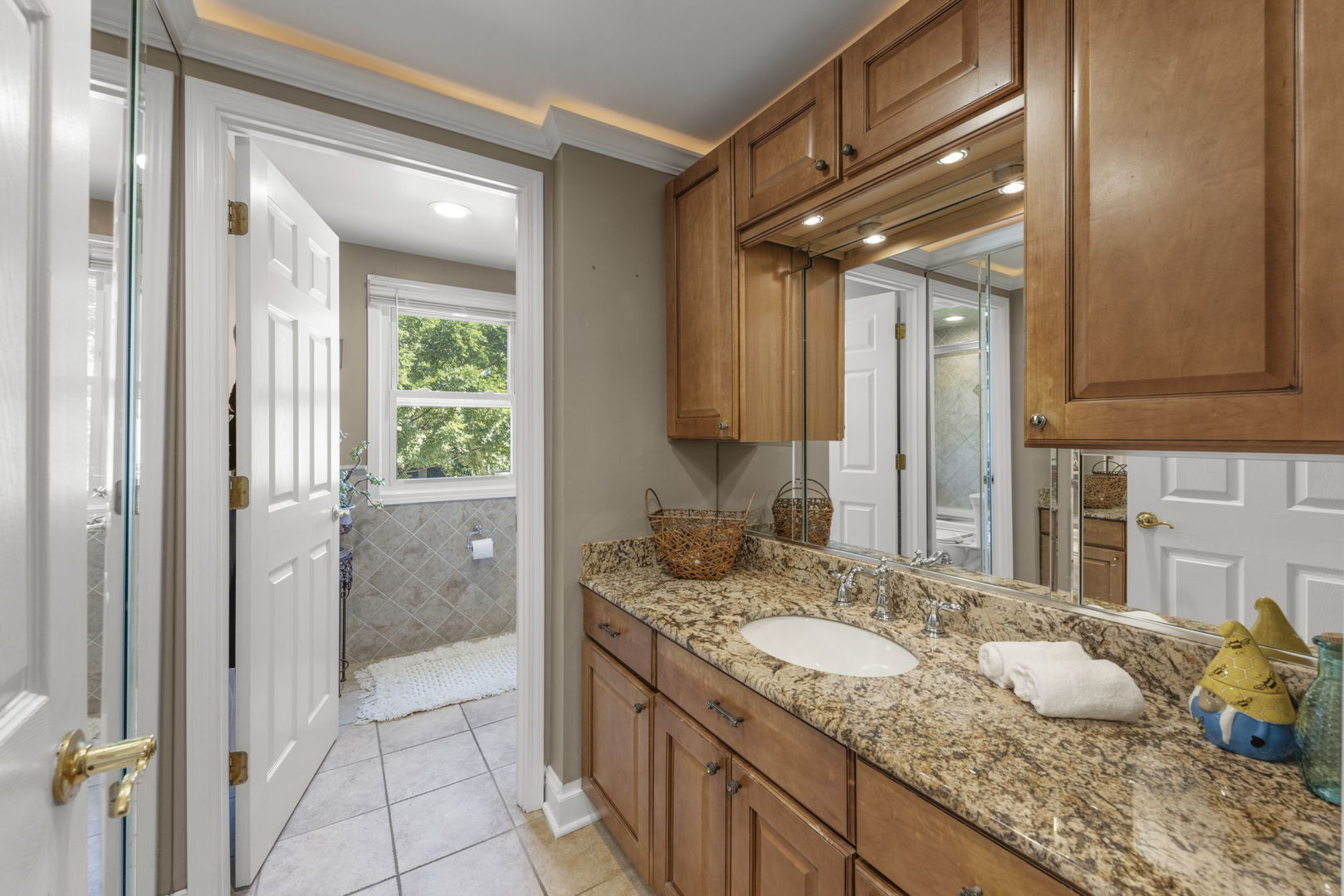 1425 Colwyn Drive, Schaumburg, IL 60194