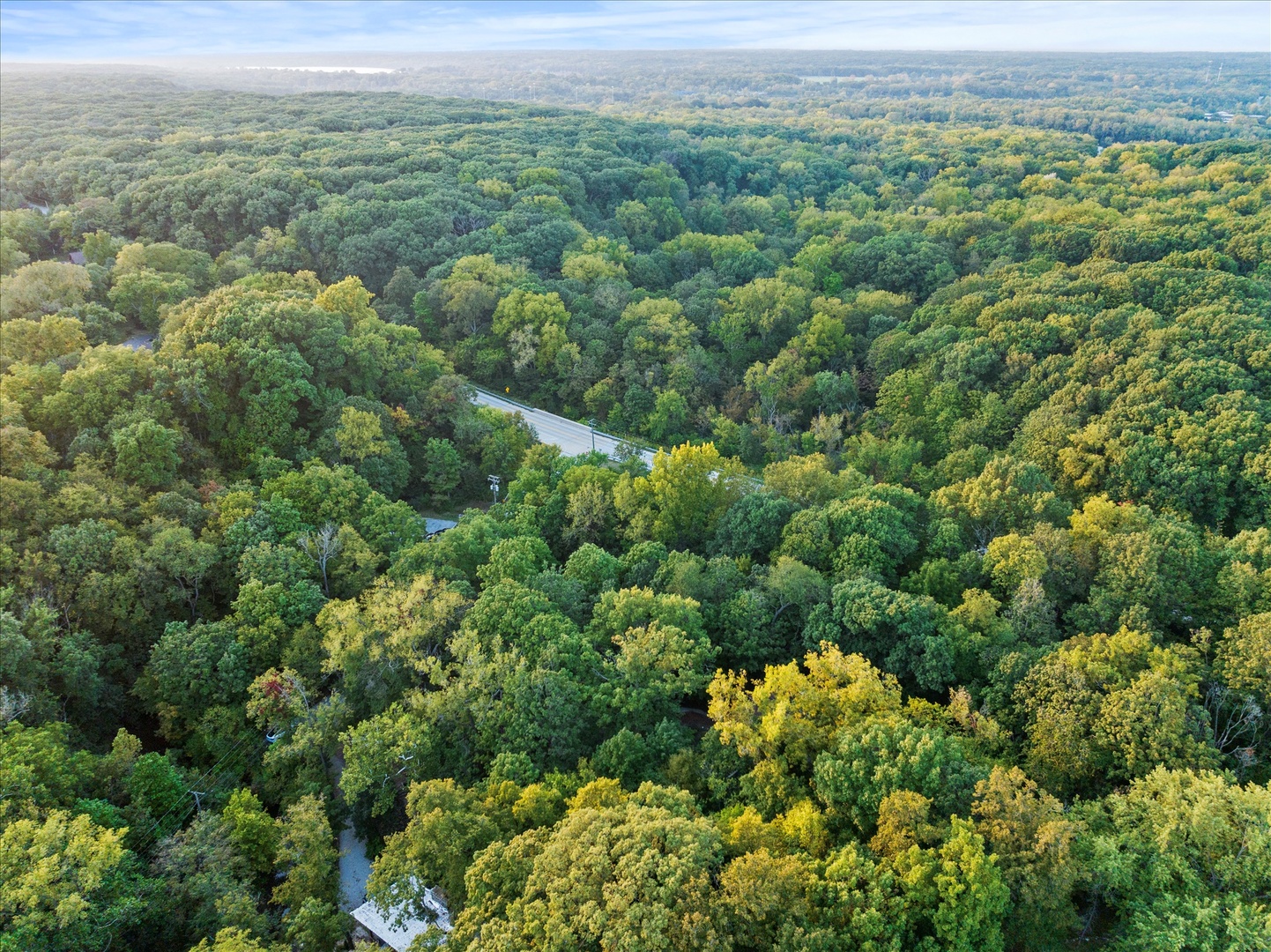 11905 S Lakewood Avenue, Palos Park, IL 60464