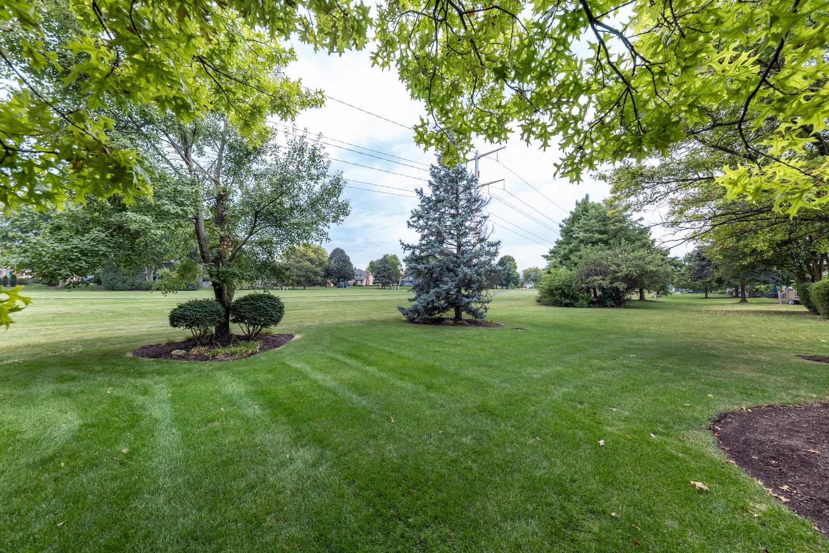 1116 Hollingswood Avenue, Naperville, IL 60564