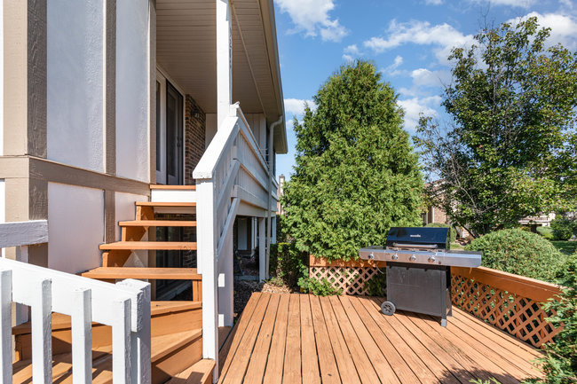 9280 Windsor Parkway, Tinley Park, IL 60487