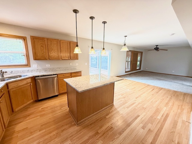 1301 Bridgehampton Drive, Plainfield, IL 60586