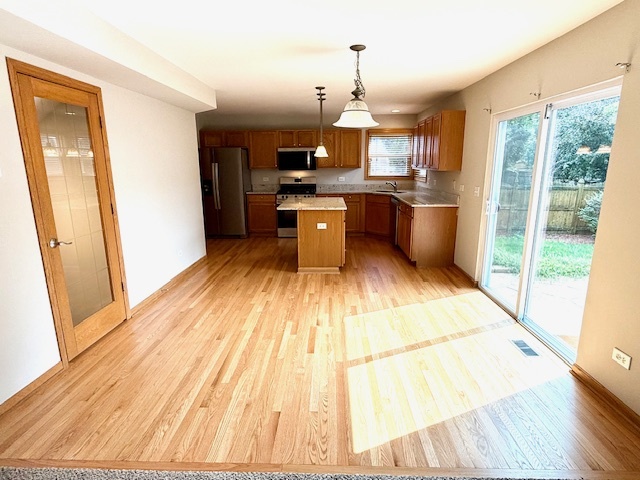 1301 Bridgehampton Drive, Plainfield, IL 60586