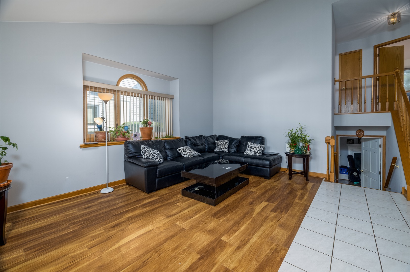 16231 Lake Villa Avenue, Tinley Park, IL 60477