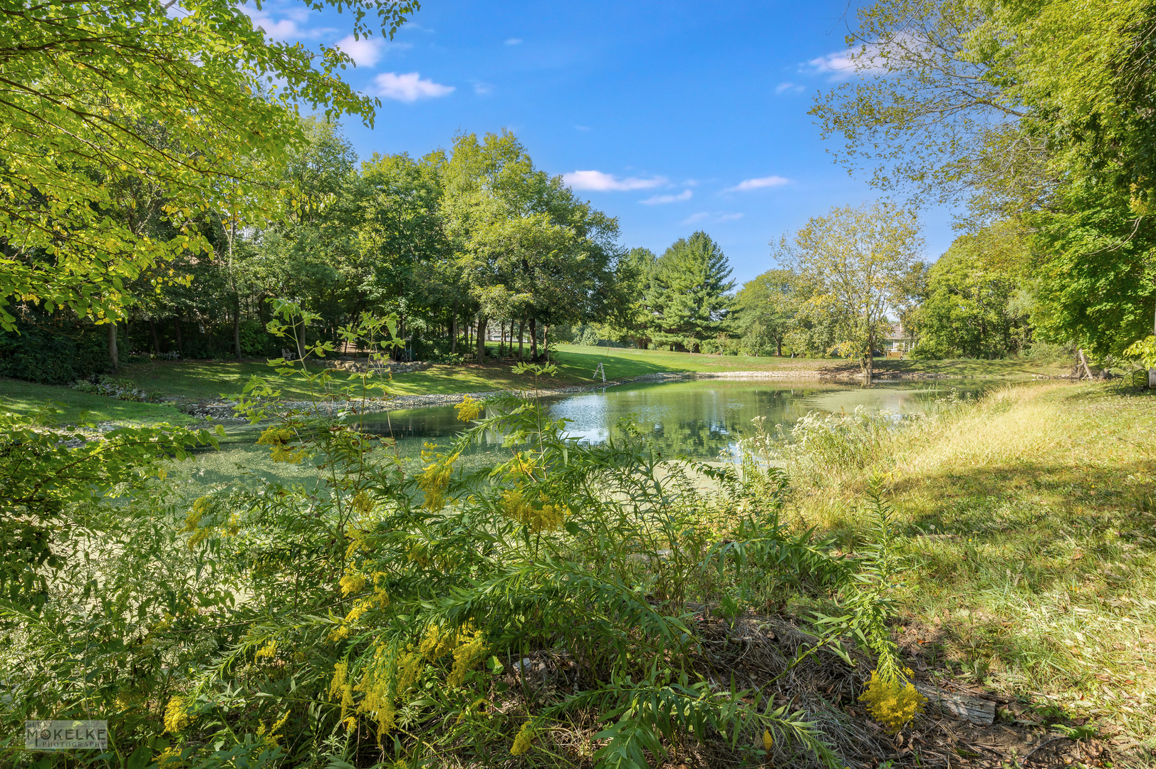 20 Ottawa Court, Oswego, IL 60543