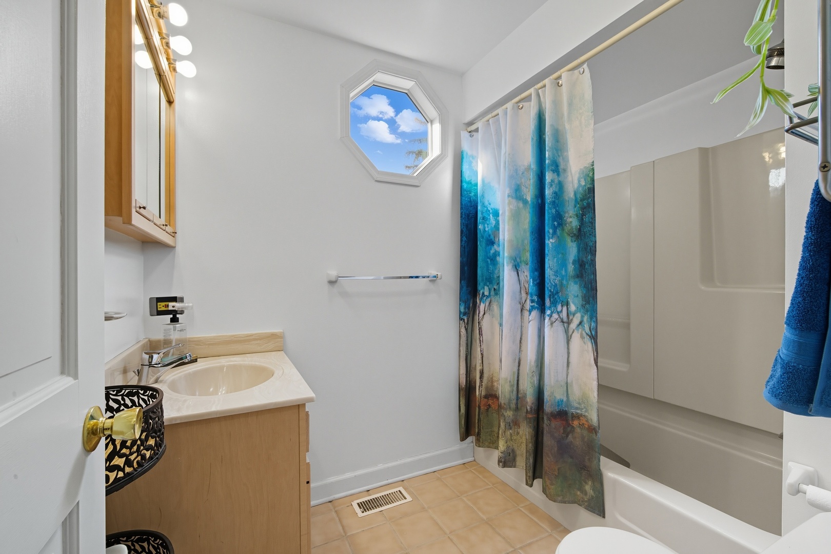 1015 Arthur Street, Park Ridge, IL 60068