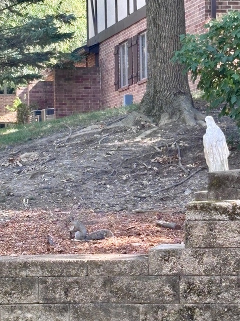 7737 W Golf Drive #101, Palos Heights, IL 60463