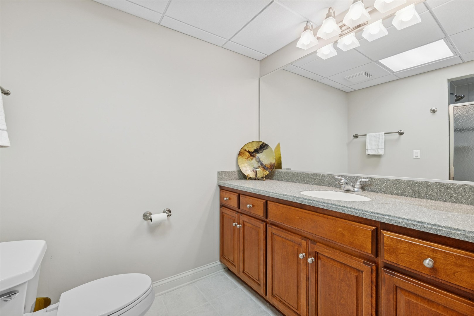 1318 Reid Street, Western Springs, IL 60558