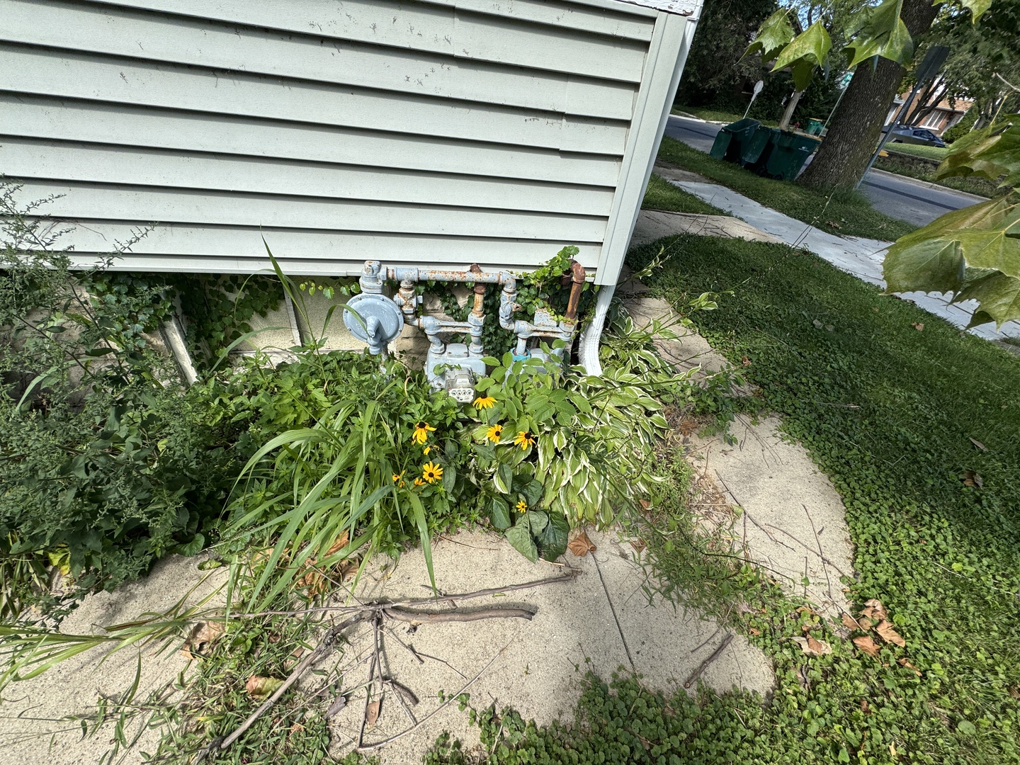 510 Douglas Street, Joliet, IL 60435