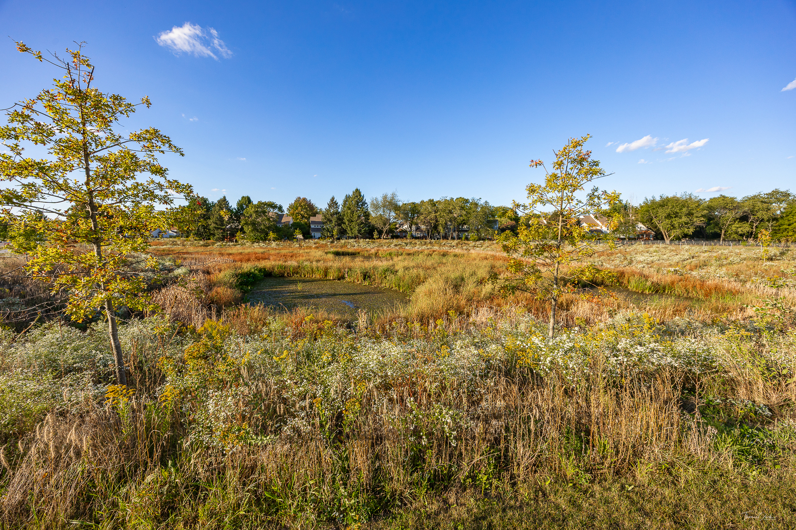 123 Kingsport Drive, South Elgin, IL 60177