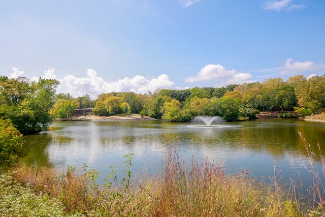 5511 E Lake Drive #97-B, Lisle, IL 60532