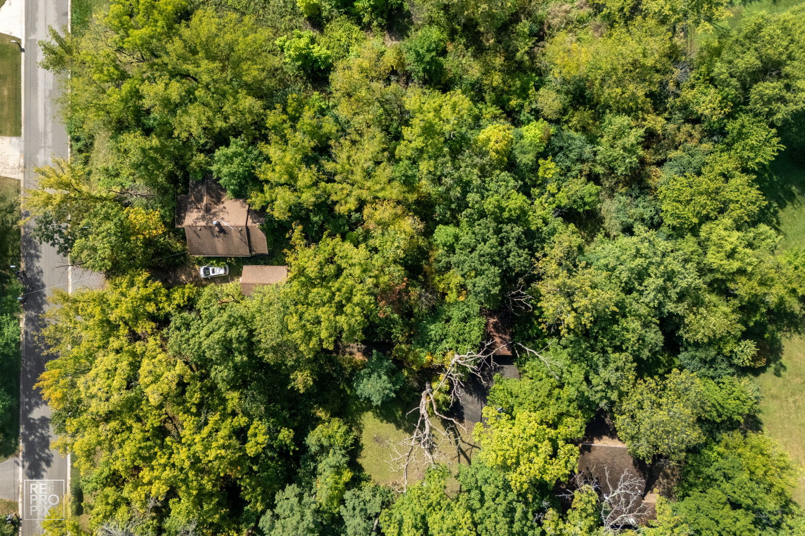3730 Sterling Road, Downers Grove, IL 60515