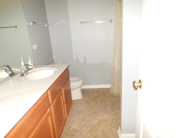 603 Conservatory Lane, Aurora, IL 60502