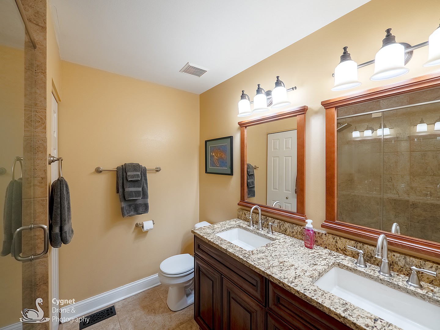 841 Genesee Drive, Naperville, IL 60563