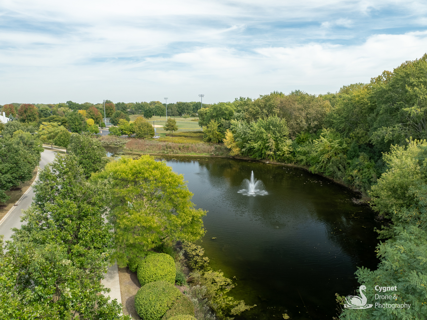 841 Genesee Drive, Naperville, IL 60563