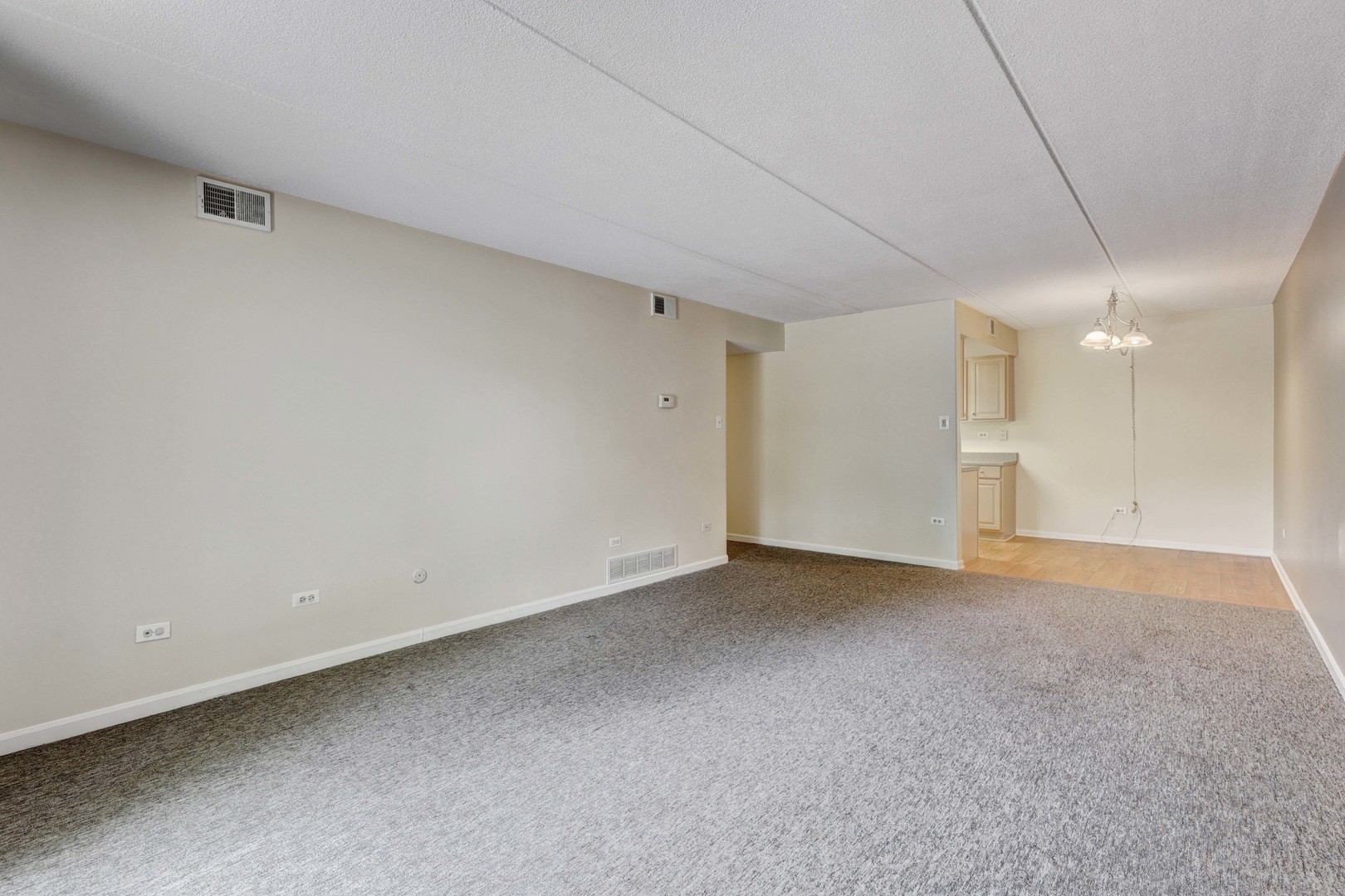 512 Redondo Drive #112, Downers Grove, IL 60516