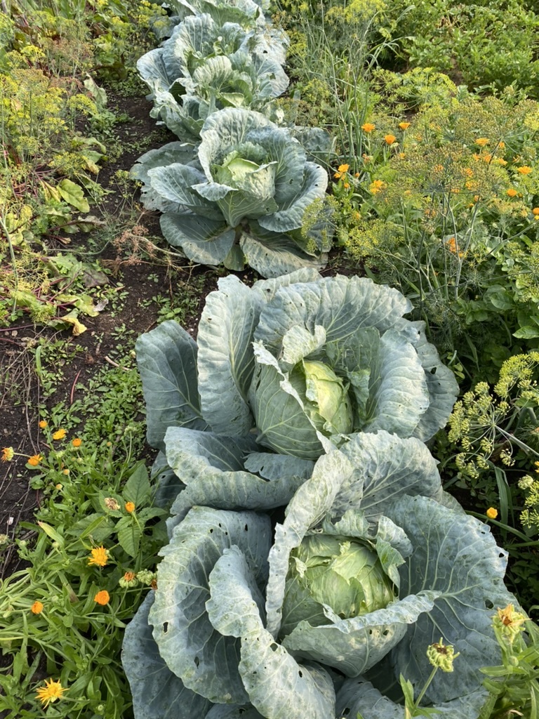 1023 Harris Road, Grayslake, IL 60030