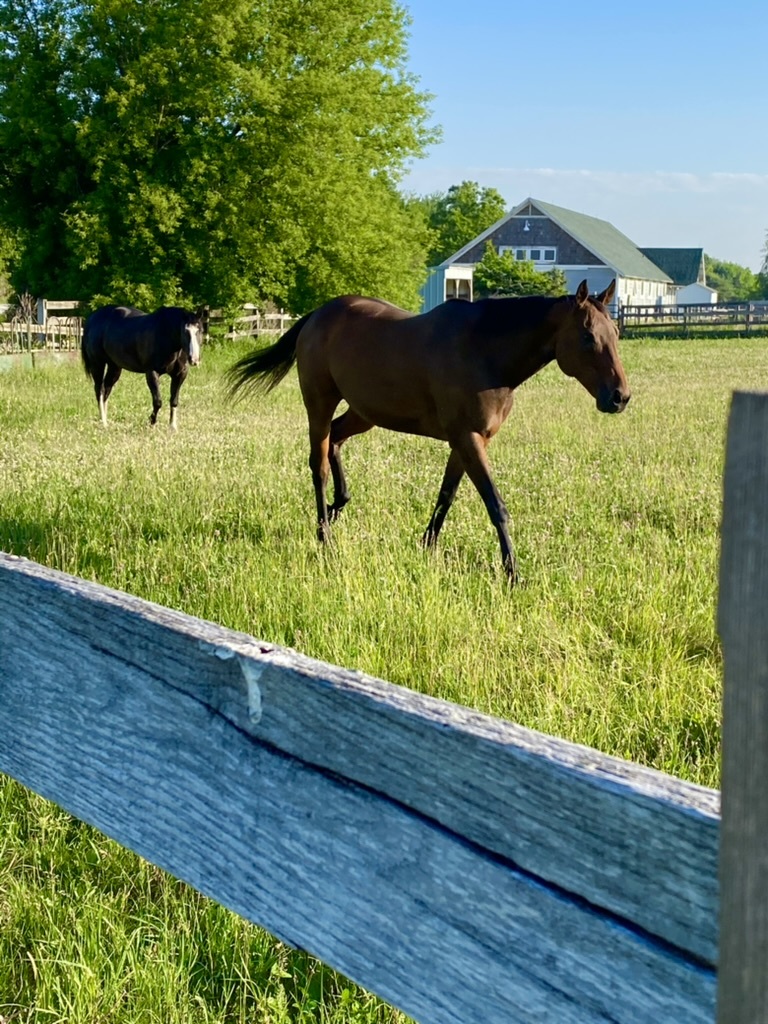 1023 Harris Road, Grayslake, IL 60030