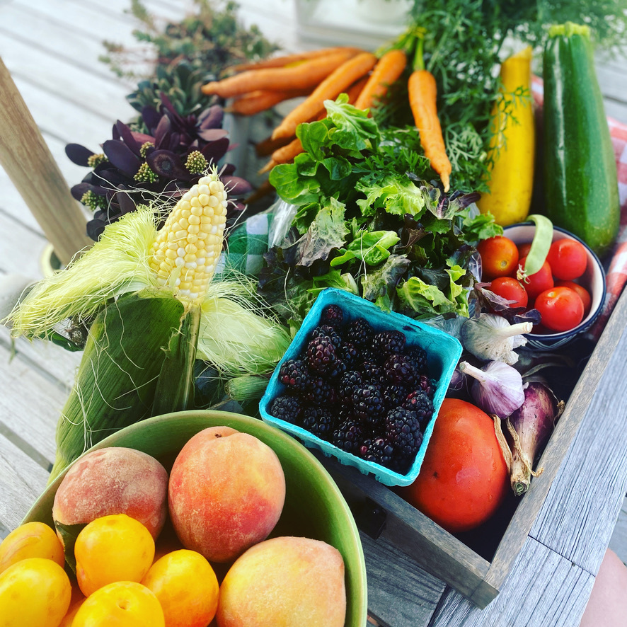 1023 Harris Road, Grayslake, IL 60030