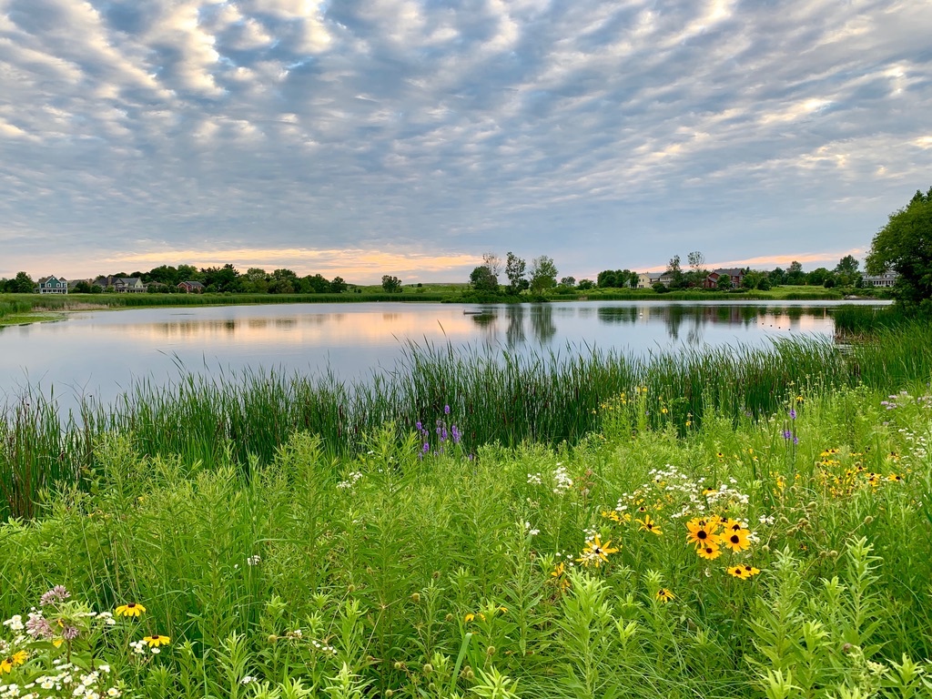 1023 Harris Road, Grayslake, IL 60030