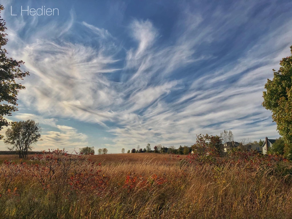 1023 Harris Road, Grayslake, IL 60030