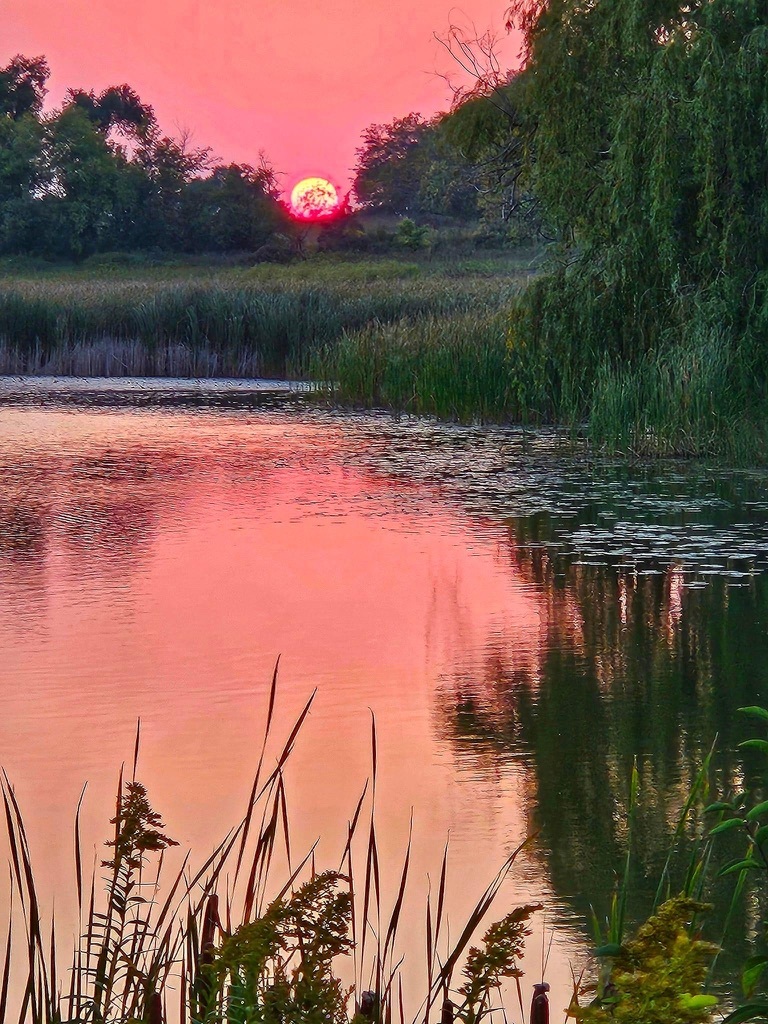 1023 Harris Road, Grayslake, IL 60030