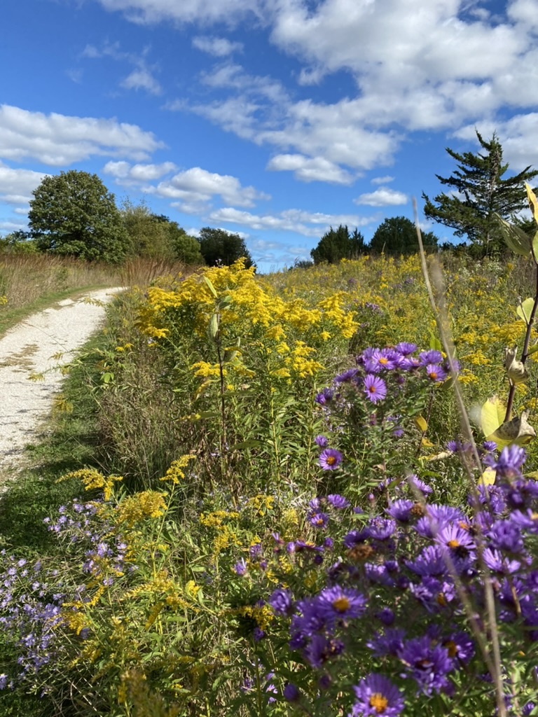 1023 Harris Road, Grayslake, IL 60030