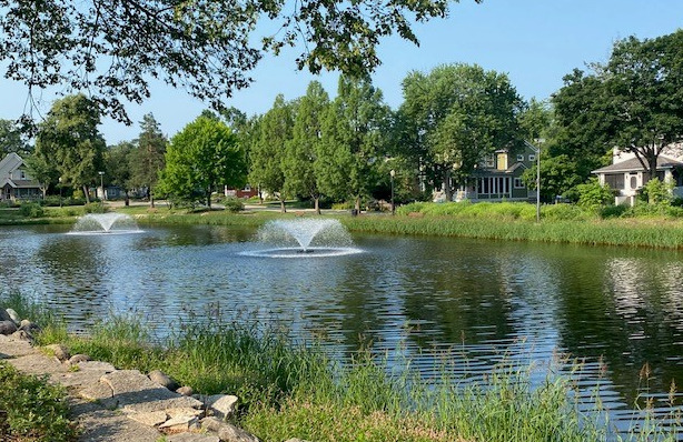 4900 Forest Avenue #204, Downers Grove, IL 60515