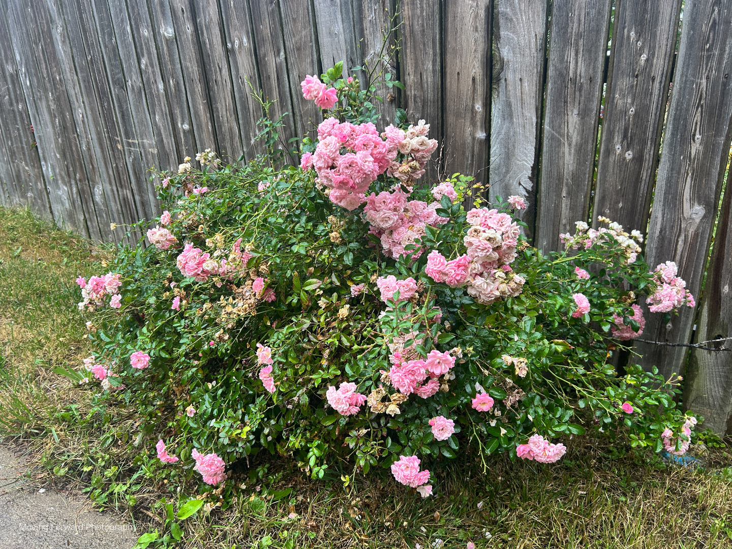 10534 S Wentworth Avenue, Chicago, IL 60628