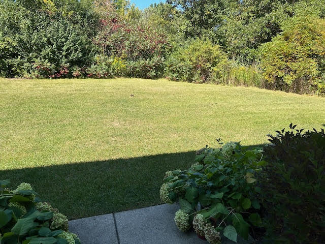 1232 S Candlestick Way #0, Waukegan, IL 60085