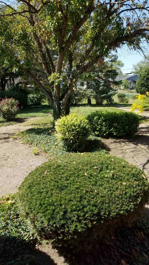 426 S Adeline Avenue, Addison, IL 60101